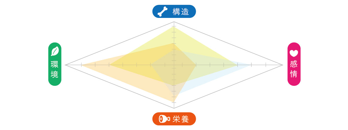 健康の四角形